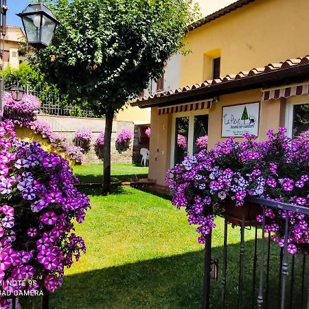 B&B "La Pieve" - Locanda Per Viandanti San Piero a Sieve Zewnętrze zdjęcie