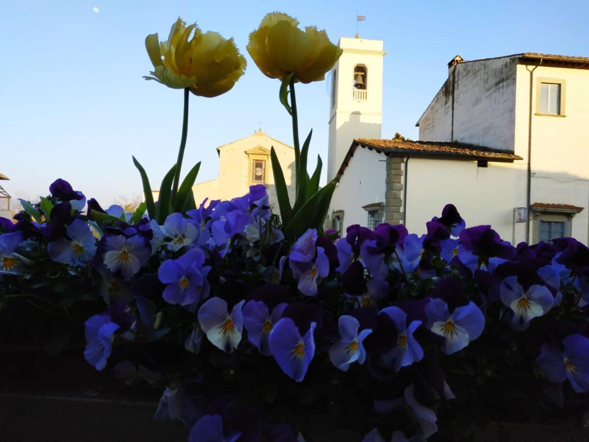 B&B "La Pieve" - Locanda Per Viandanti San Piero a Sieve Zewnętrze zdjęcie