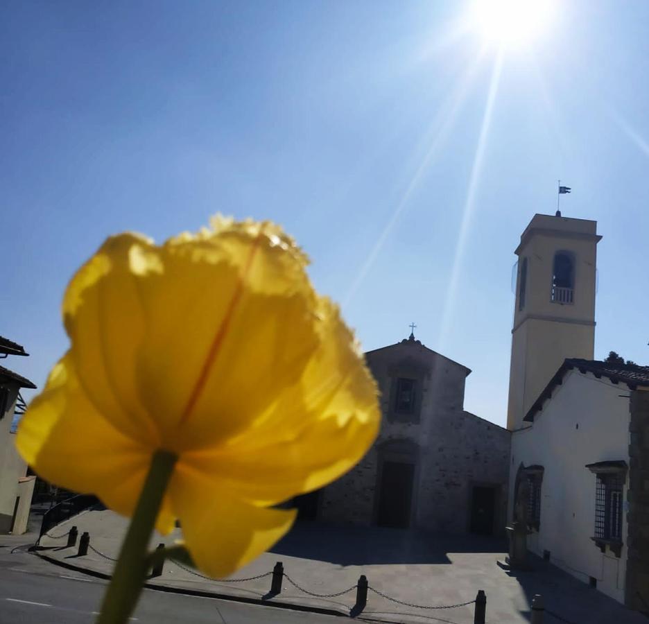 B&B "La Pieve" - Locanda Per Viandanti San Piero a Sieve Zewnętrze zdjęcie